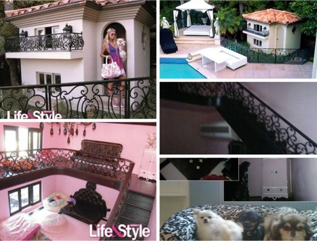 'Sướng' như cún cưng của Paris Hilton