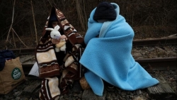 Xung đột Nga-Ukraine: Cuộc sống bấp bênh của người di cư