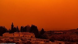 Châu Âu bị 'tấn công' bởi bão bụi bất thường từ sa mạc Sahara