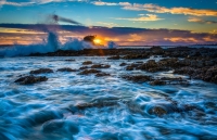 Tìm hiểu thế giới kỳ diệu dưới lòng đại dương qua những bức ảnh 'biết nói'