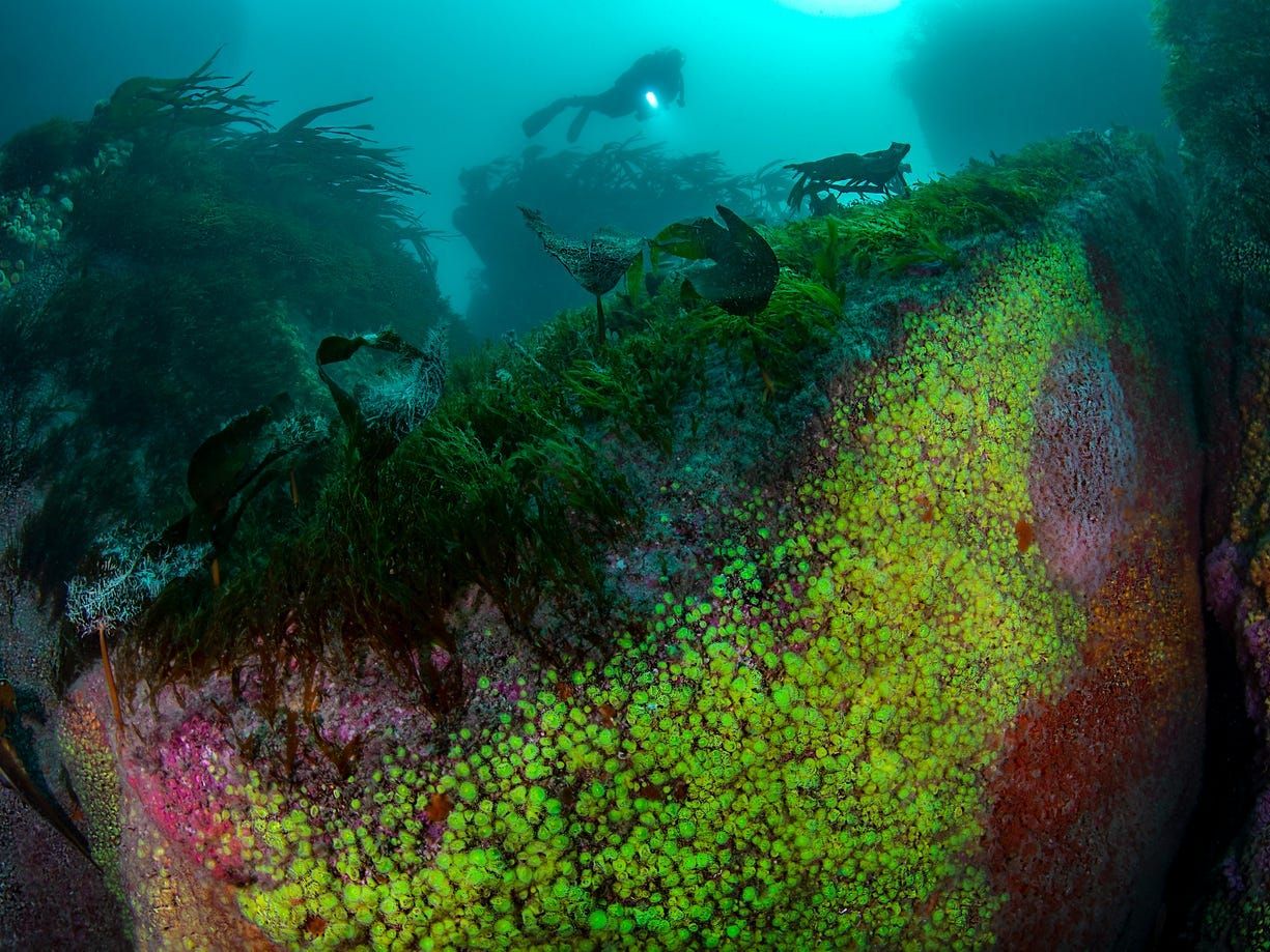 nhung buc anh ve dai duong ky dieu loi nhac nho phai bao ve moi truong bien