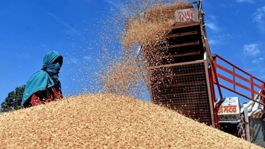 Xung đột ở Ukraine: Ấn Độ nối lại hoạt động xuất khẩu sang Nga