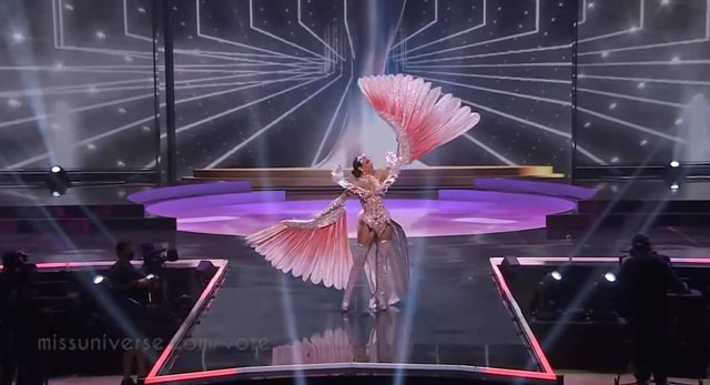 Trang phục dân tộc của các thí sinh Hoa hậu Hoàn vũ