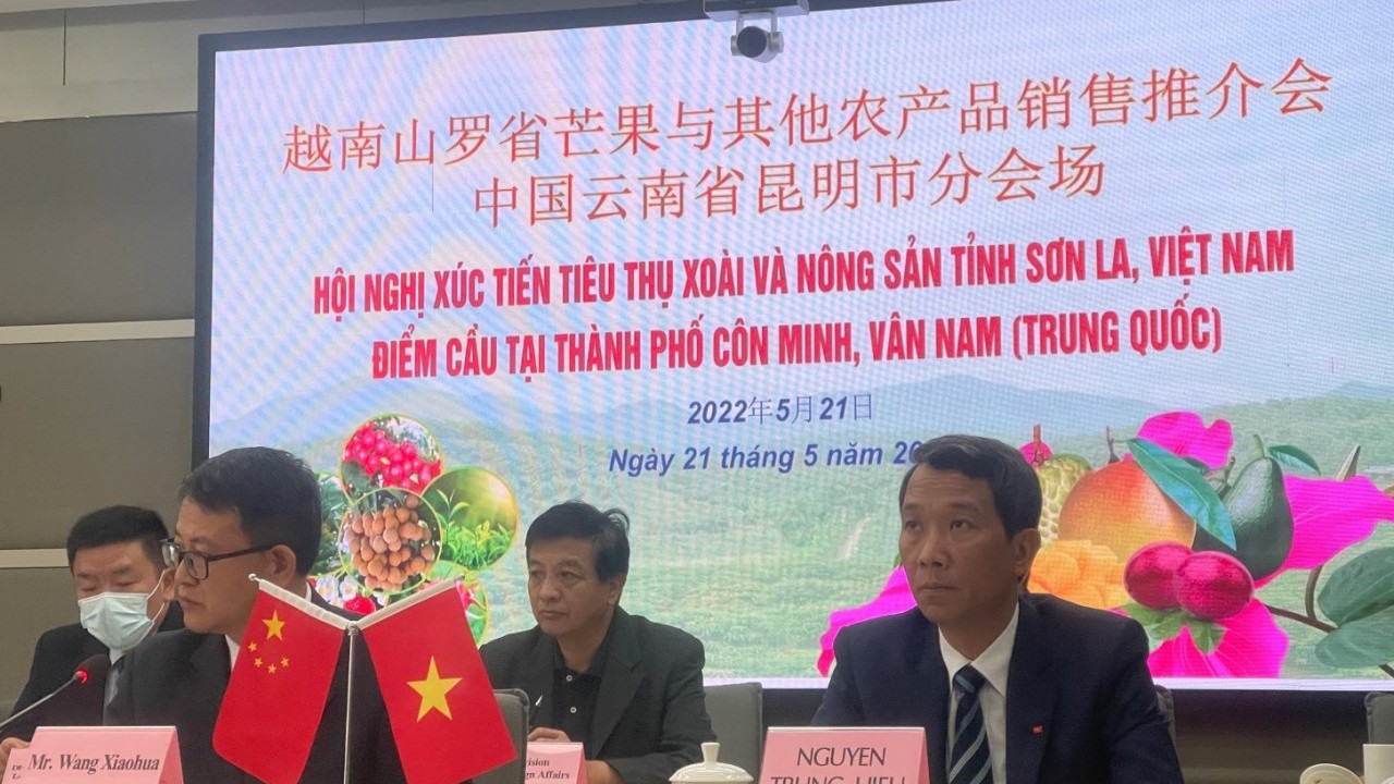 Đẩy mạnh hoạt động xúc tiến tiêu thụ xoài và nông sản Việt