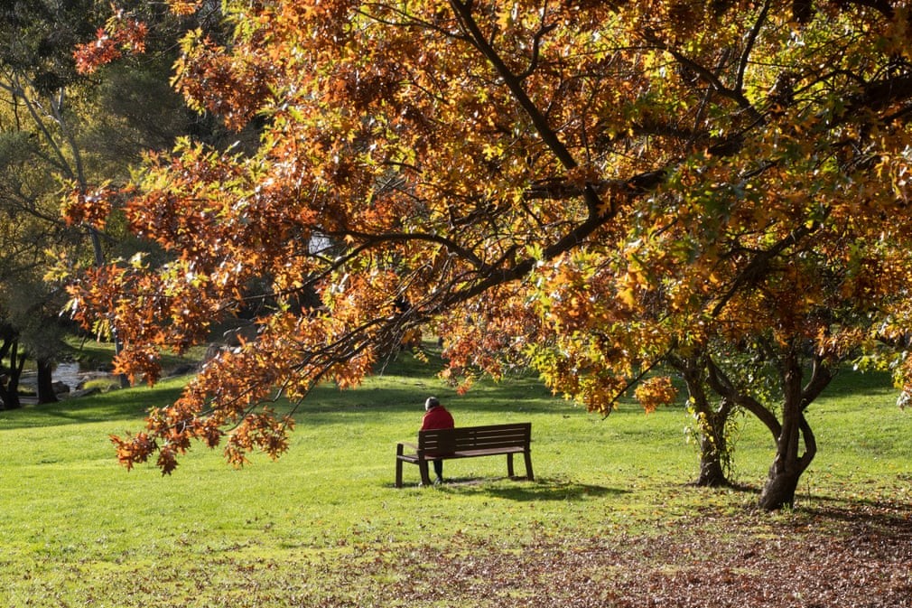 Hình ảnh thủ đô Canberra được 'nhuộm màu' trong sắc Thu trữ tình Hình ảnh thủ đô Canberra được 'nhuộm màu' trong sắc Thu trữ tình