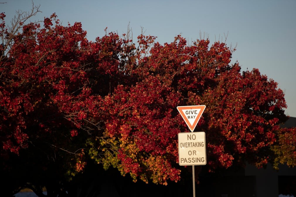 Hình ảnh thủ đô Canberra được 'nhuộm màu' trong sắc Thu trữ tình Hình ảnh thủ đô Canberra được 'nhuộm màu' trong sắc Thu trữ tình