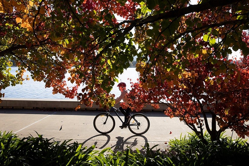 Hình ảnh thủ đô Canberra được 'nhuộm màu' trong sắc Thu trữ tình Hình ảnh thủ đô Canberra được 'nhuộm màu' trong sắc Thu trữ tình