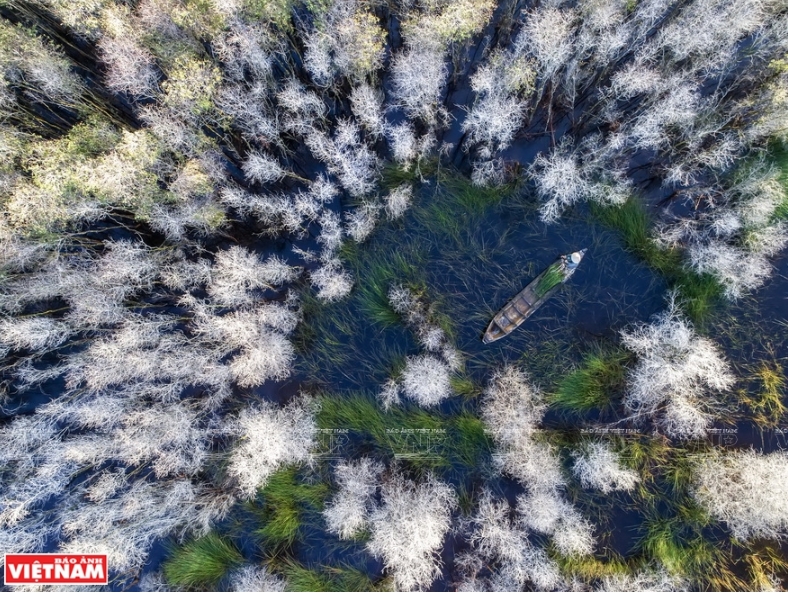 phong ca nh viet nam nhung buc hinh tuyet dep nhin tu tren cao