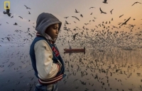 Án tượng những tác phẩm đoạt giải cuộc thi Ảnh Du lịch 2019 của National Geographic