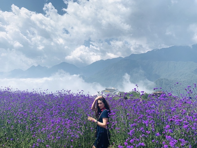 Đồi hoa tím 'hot' nhất Sa Pa, 'đốn tim' du khách tới check-in