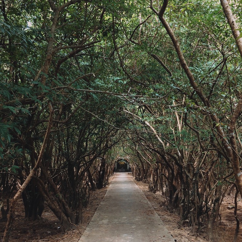 Du lịch hậu Covid-19: Ngắm vẻ cổ kính pha nét hiện đại của xứ Huế mộng mơ