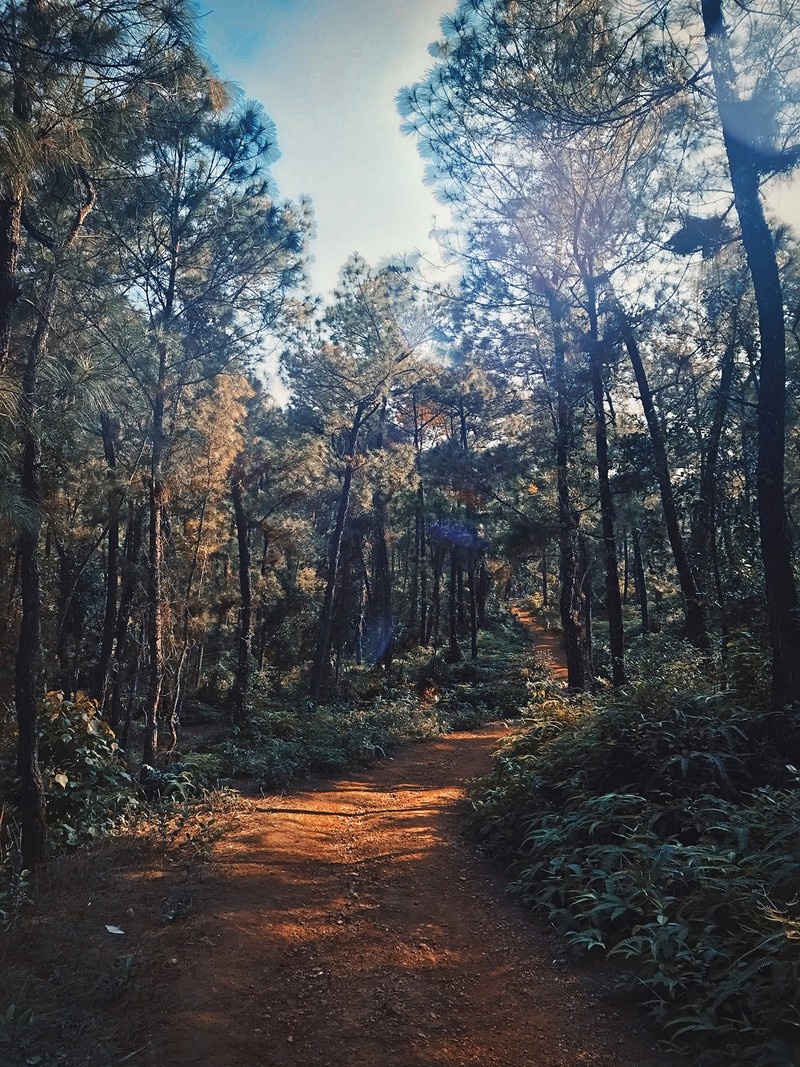 Du lịch hậu Covid-19: Ngắm vẻ cổ kính pha nét hiện đại của xứ Huế mộng mơ