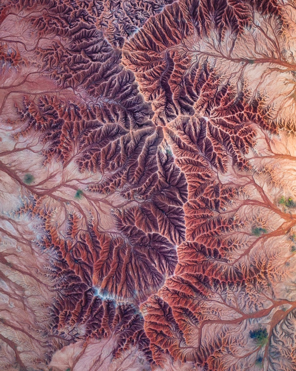 cuoc thi nhiep anh aerial2020 nhung buc anh dang kinh ngac ve mot the gioi khac la qua goc nhin tren khong