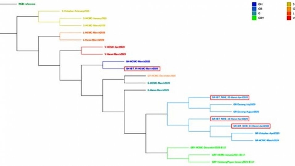 Việt Nam xây dựng thành công quy trình giải trình tự hệ gen virus SARS-CoV-2