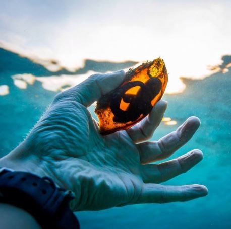 Những bức ảnh về cuộc sống khiến người xem ngạc nhiên, thích thú