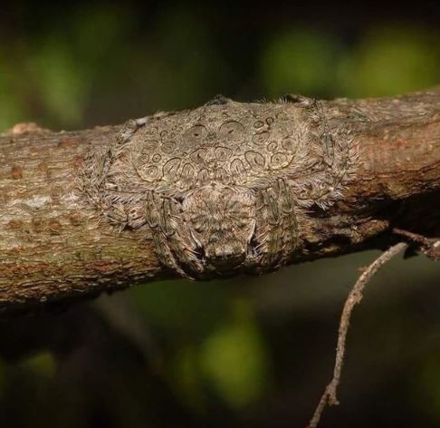 Những bức ảnh về cuộc sống khiến người xem ngạc nhiên, thích thú