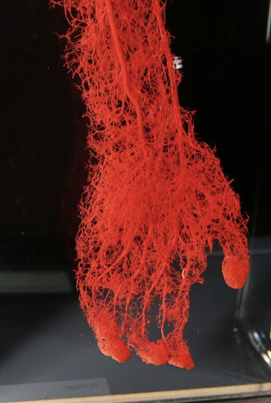 Những bức ảnh về cuộc sống khiến người xem ngạc nhiên, thích thú