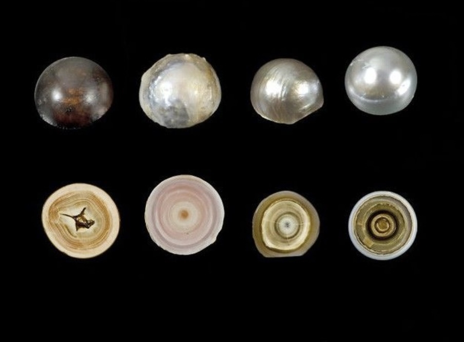 Những bức ảnh về cuộc sống khiến người xem ngạc nhiên, thích thú