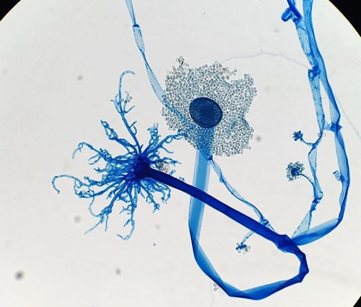 Những hình ảnh thật đến khó tin