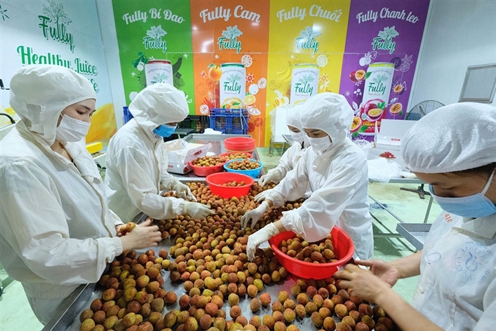 Bắc Giang chủ động tháo gỡ khó khăn, tìm đầu ra cho nông sản giữa 'tâm dịch' Covid-19 Bắc Giang chủ động tháo gỡ khó khăn, tìm đầu ra cho nông sản giữa 'tâm dịch' Covid-19