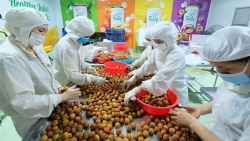 Xuất khẩu ngày 29/6-2/7: 