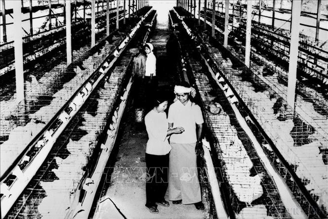 Mạch nguồn hữu nghị Việt Nam Campuchia: 55 năm chảy mãi nghĩa tình