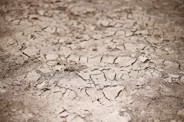 Con sông dài nhất Italy 'hứng chịu' cảnh hạn hán tồi tệ nhất trong 70 năm qua