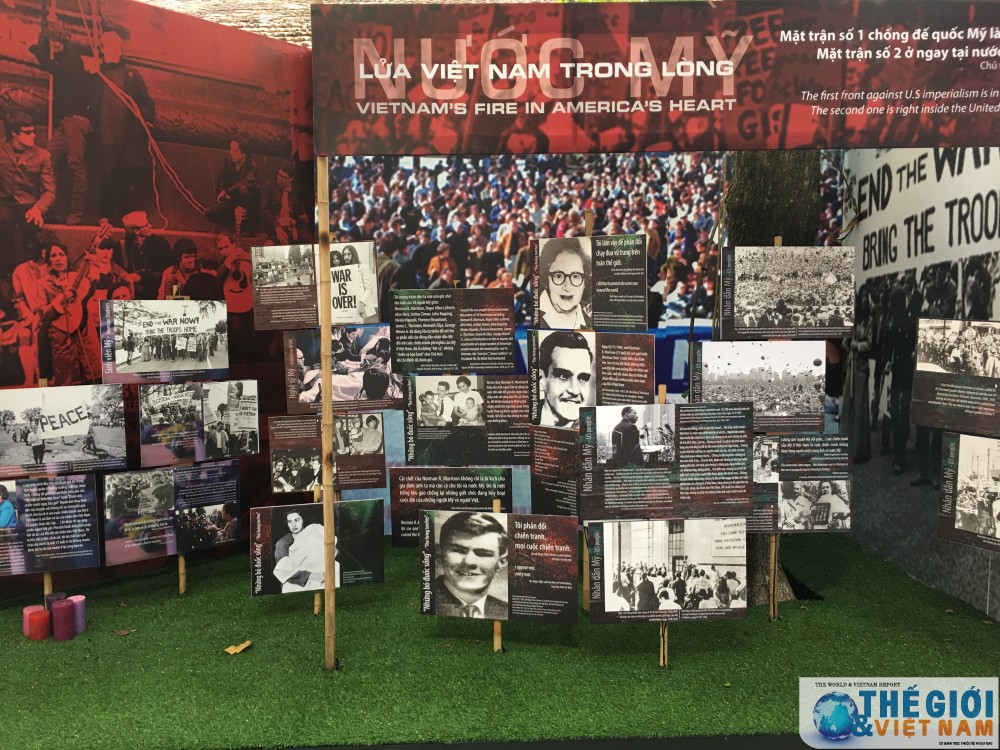 linh thieng do ng ma u la c ho ng hoa t do ng tri an da y y nghi a