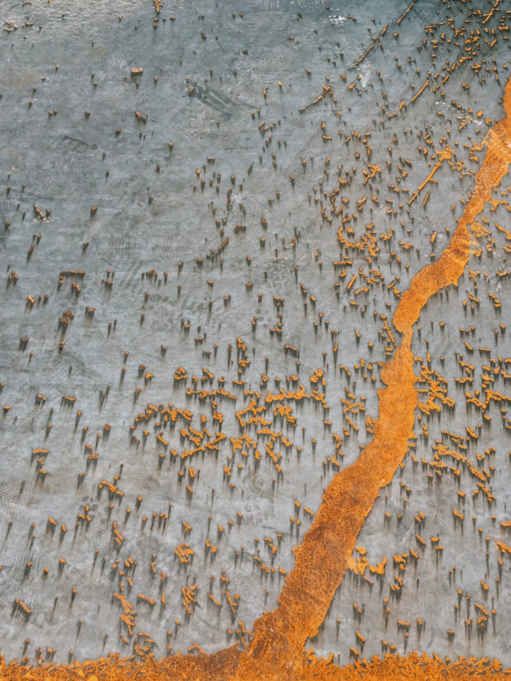 Giải thưởng Nhiếp ảnh iPhone 2020: Những tuyệt tác được chụp bằng Iphone Giải thưởng Nhiếp ảnh iPhone 2020: Những tuyệt tác được chụp bằng Iphone