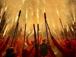 Giải thưởng Nhiếp ảnh iPhone 2020: Những tuyệt tác được chụp bằng Iphone