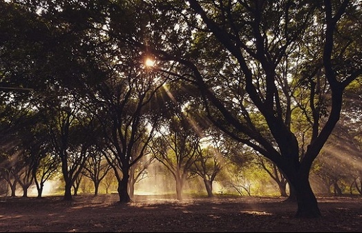 Các điểm cắm trại 'sống ảo' tuyệt đẹp ngay gần Hà Nội cho dịp nghỉ lễ