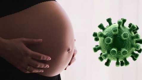 Phụ nữ có thai có nguy cơ cao mắc Covid-19? Đối tượng này có nên tiêm vaccine?
