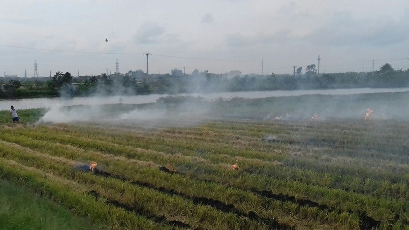 Chính sách mới có hiệu lực từ tháng 8/2022: Rút tiết kiệm trước hạn vẫn hưởng lãi cao, phạt tiền khi không phân loại rác