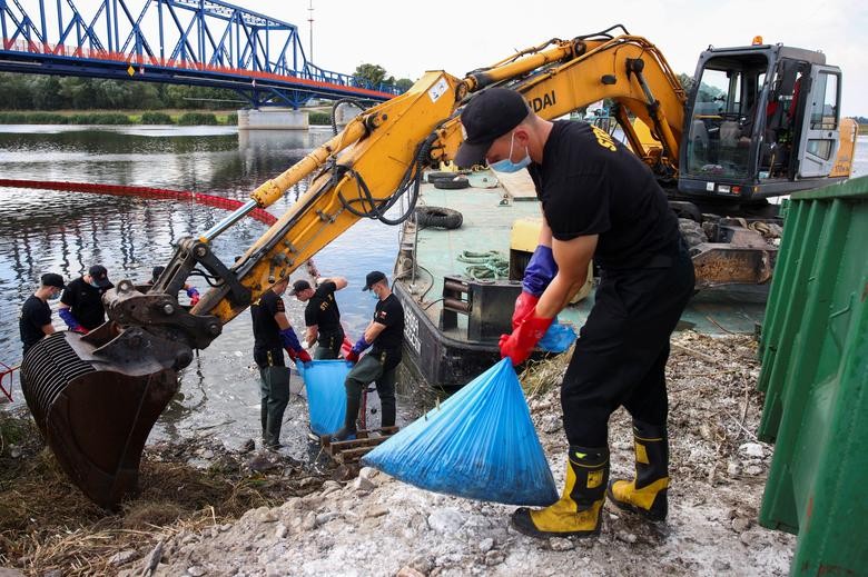 Tình trạng cá chết hàng loạt trên sông Oder, biên giới Ba Lan-Đức