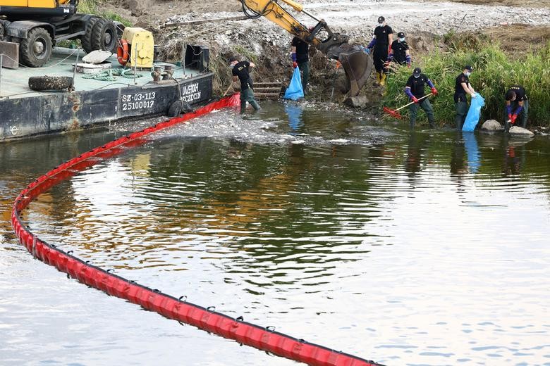 Thảm họa sinh thái, hàng tấn cá phơi bụng phủ kín sông Oder khu vực biên giới Đức-Ba Lan