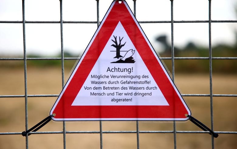 Thảm họa sinh thái, hàng tấn cá phơi bụng phủ kín sông Oder khu vực biên giới Đức-Ba Lan