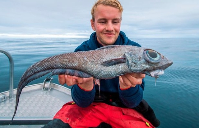 Bắt được cá hiếm có đôi mắt khổng lồ lồi to như bóng đèn