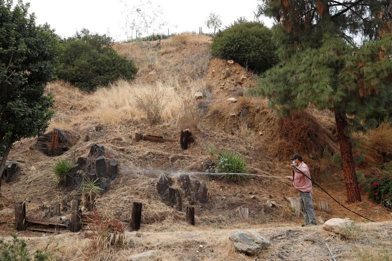 Đang căng mình chống dịch Covid-19, bang California lại phải đối mặt với đám cháy rừng lớn kỷ lục Đang căng mình chống dịch Covid-19, bang California lại phải đối mặt với đám cháy rừng lớn kỷ lục