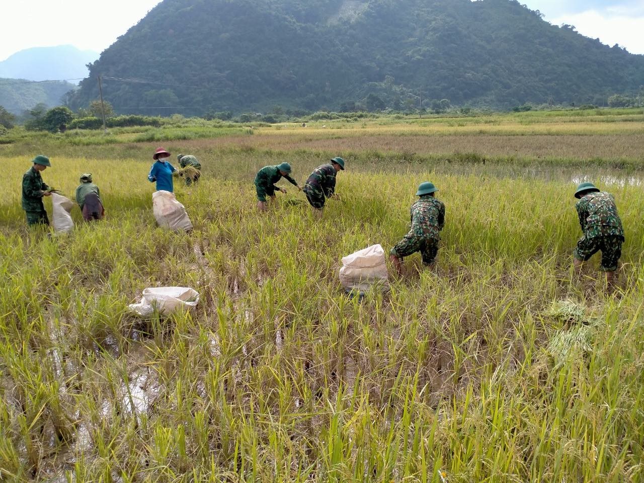 Bộ đội biên phòng Hướng Lập, Quảng Trị hỗ trợ người dân ứng phó với bão Noru Bộ đội biên phòng Hướng Lập, Quảng Trị hỗ trợ người dân ứng phó với bão Noru