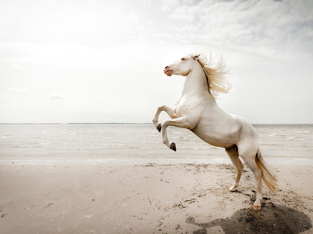 nhung canh dep hut hon cua tu nhien