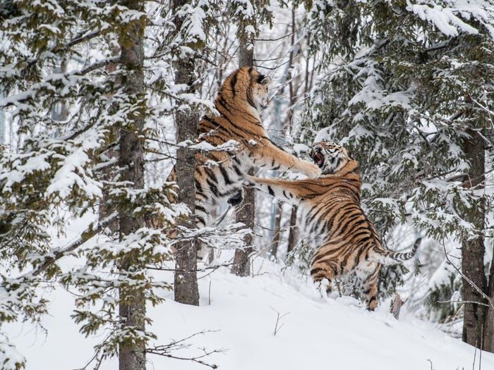 nhung canh dep hut hon cua tu nhien