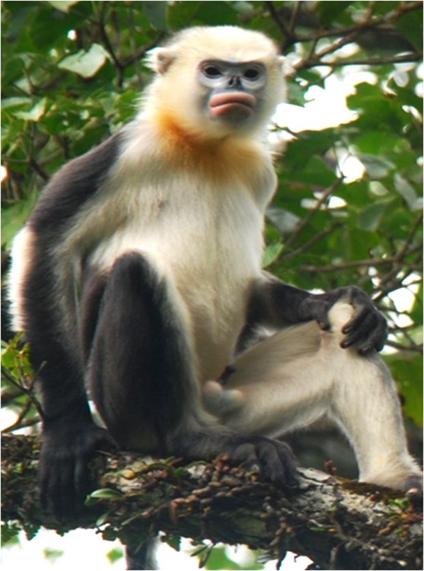 undefined Công viên địa chất toàn cầu UNESCO: Cao nguyên đá Đồng Văn