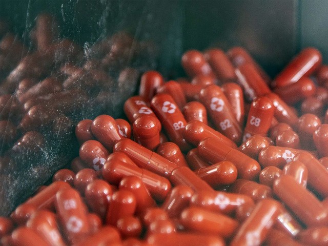 Thuốc kháng virus Molnupiravir dùng trong điều trị COVID-19 của Hãng dược Merck. (Nguồn: Blooberg) Thuốc kháng virus Molnupiravir dùng trong điều trị COVID-19 của Hãng dược Merck. (Nguồn: Blooberg)