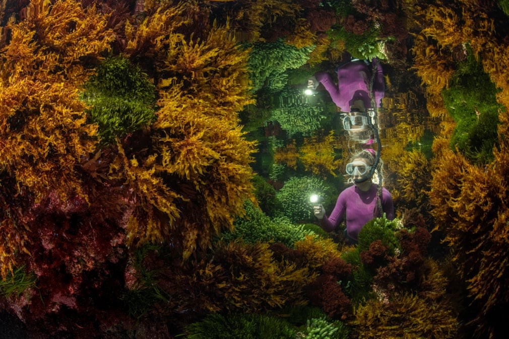 Những hình ảnh đoạt giải Nhiếp ảnh gia về động vật hoang dã năm 2021