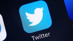 Lộ doanh thu hàng quý tăng 37%, giá cổ phiếu của Twitter tăng 3%