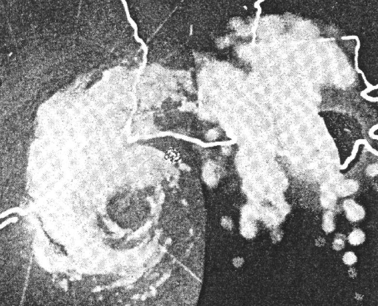 Những trận siêu bão kinh hoàng nhất trong lịch sử nước Mỹ Những cơn bão tàn khốc nhất trong lịch sử nước Mỹ