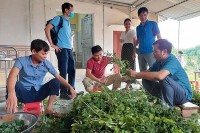 Tình cảm ấm áp của thầy, cô dành cho học sinh vùng lũ