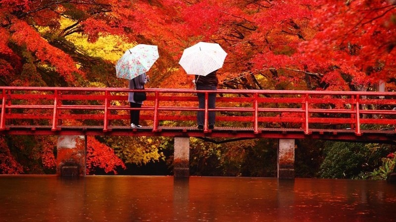 Ngắm cảnh sắc mùa Thu 'hút hồn' ở các nơi trên thế giới