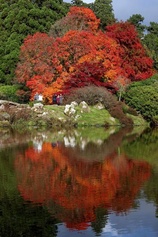 Ngắm cảnh sắc đẹp 'hút hồn' của mùa Thu ở các nơi trên thế giới Ngắm cảnh sắc đẹp 'hút hồn' của mùa Thu ở các nơi trên thế giới