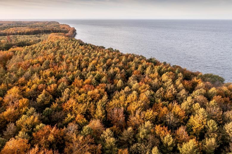 Ngắm cảnh sắc đẹp 'hút hồn' của mùa Thu ở các nơi trên thế giới Ngắm cảnh sắc đẹp 'hút hồn' của mùa Thu ở các nơi trên thế giới